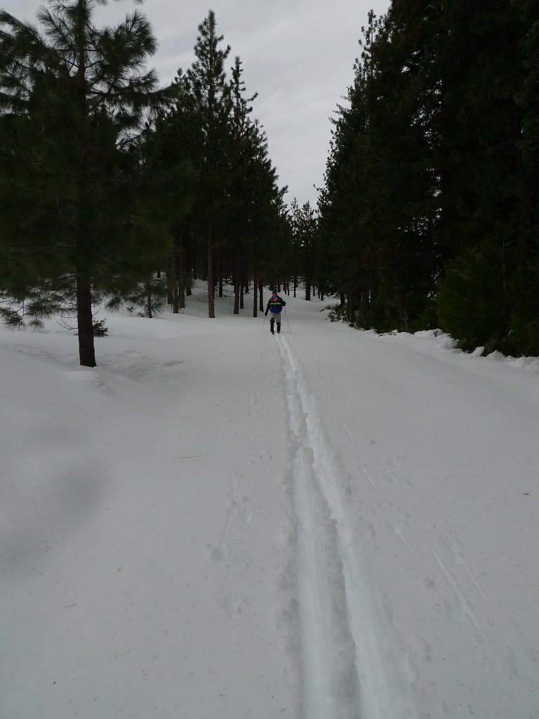 Christmas2010 122.JPG
